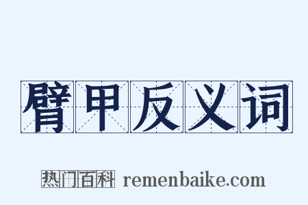 臂甲反义词是什么意思的图片